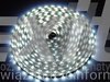 Taśma LED line 300 SMD 3528 biała zimna 10000-13000K 5 metrów