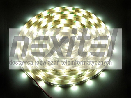 Taśma LED line 150 SMD 3528 biała neutralna 6200-6700K 5 metrów