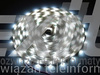 Taśma LED line 150 SMD 3528 biała zimna 10000-13000K w powłoce silikonowej IP65