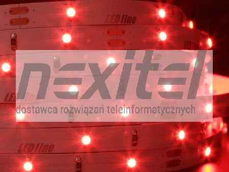 Taśma LED line 150 SMD 3528 czerwona 5 metrów