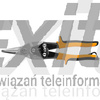 Nożyce do blachy proste 250 mm, NEO TOOLS 31-050