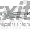 Szczypce zaciskowe, 250 mm NEO TOOLS 01-216