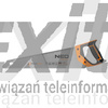 Piła płatnica 400mm Neo Tools 41-131