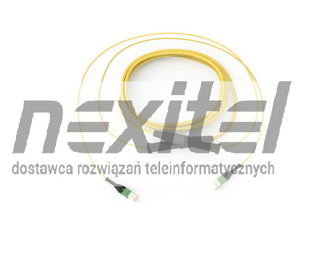 Patchcord światłowodowy Trunk OS2 MTP® 12F G909012GLZ88U012M