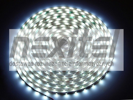 Taśma LED line 300 SMD 3528 biała zimna 10000-13000K 5 metrów