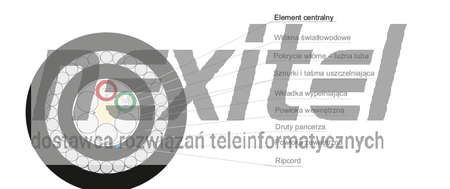 Zewnętrzny wielotubowy, dwupowłokowy kabel światłowodowy z pancerzem stalowym, BiTfiber ZKS-XXOTKtsFo 2-144 J, odporny na UV