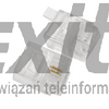 WTYK TELEFONICZNY 2PIN 6P2C 100szt.