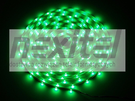 Taśma LED line 150 SMD 3528 zielona 5 metrów