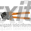 Szczypce do zaciskania końcówek konektorowych, 250 mm NEO TOOLS 01-503