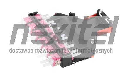 R&M NETSCALE 48 KASETA 6x SC SIMPLEX OM4 CZARNA