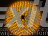 Taśma LED line 300 SMD 5050 żółta 5 metrów