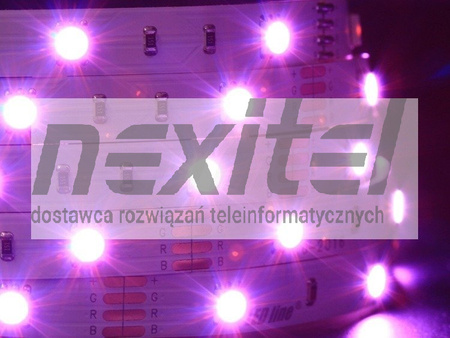 Taśma LED line 150 SMD 5060 RGB 5 metrów