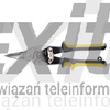 Nożyce do blachy proste 250 mm, TOPEX 01A427