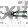 Nożyce do blachy prawe 250 mm, NEO TOOLS 31-055