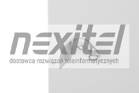 Szara szafa wisząca rack 19" 12UX400 IP54 ŚCIANY BOCZNE PEŁNE DRZWI PEŁNE ZEWNĘTRZNA SZARA