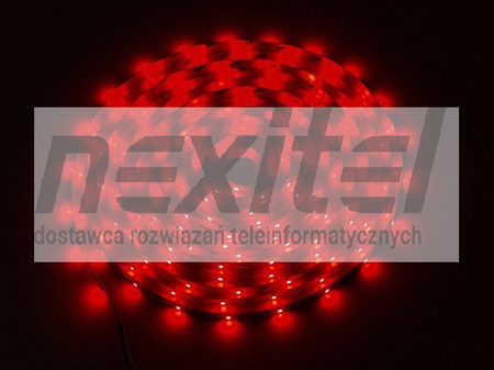 Taśma LED line 150 SMD 3528 czerwona 5 metrów