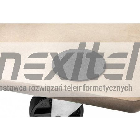 Platforma transportowa 200 kg NEO TOOLS 84-141