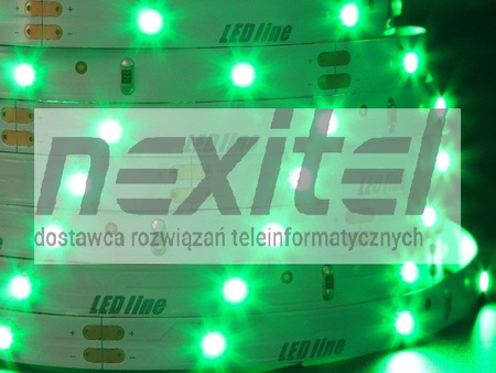 Taśma LED line 150 SMD 3528 zielona 5 metrów
