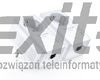 Zestaw transmiterów sieciowych POWERLINE TP-LINK PA2010P KIT (2szt)