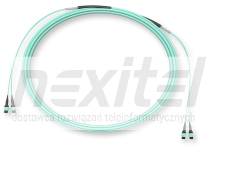 Patchcord światłowodowy Plug & Play Trunk Universal, OM4 MTP®  12F N696912QEZDDU010M